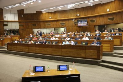 En desarrollo la sesión de la Cámara de Diputados - ADN Paraguayo