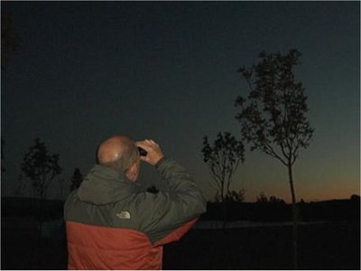 Una lluvia de estrellas se podrá ver en nuestro país