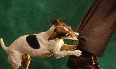 Apuñaló a dueño del perro que le mordió