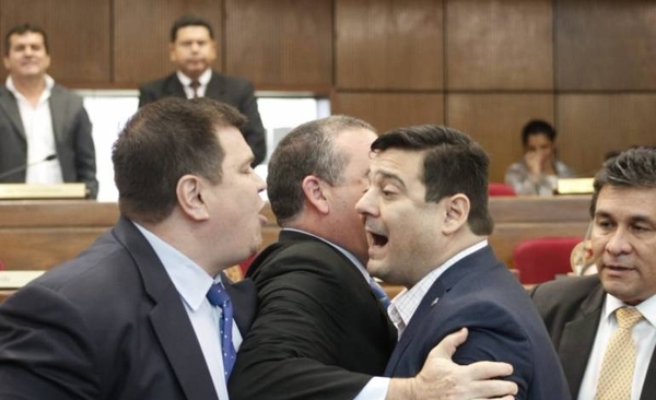 HOY / Polémico Martes Santo en Senado: liberales se tratan de ladrones y casi llegan a los golpes