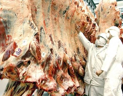 Ganadería nacional debe 1.600 millones de dólares - Nacionales - ABC Color