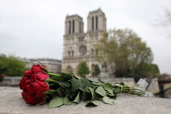 ¿Reconstruir Notre Dame “en cinco años”?