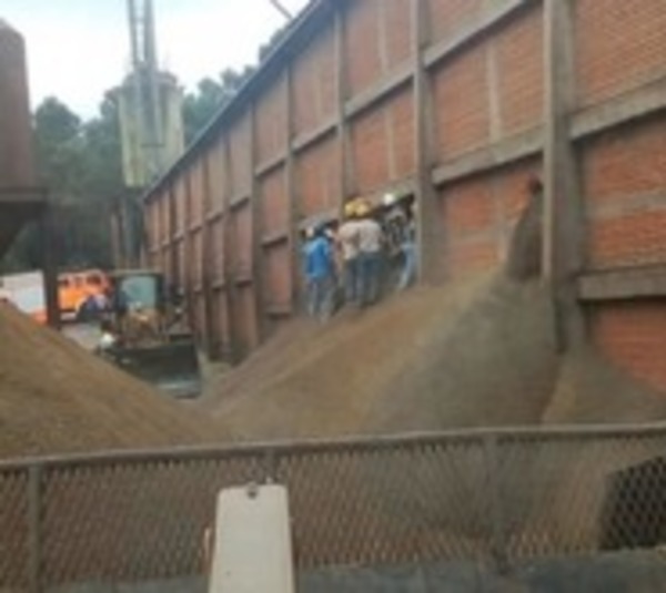 Joven de 18 años muere aplastado por cientos de kilos de granos - Paraguay.com