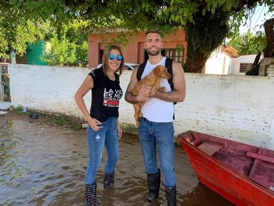Buscan voluntarios para cuidar a mascotas rescatadas de inundaciones