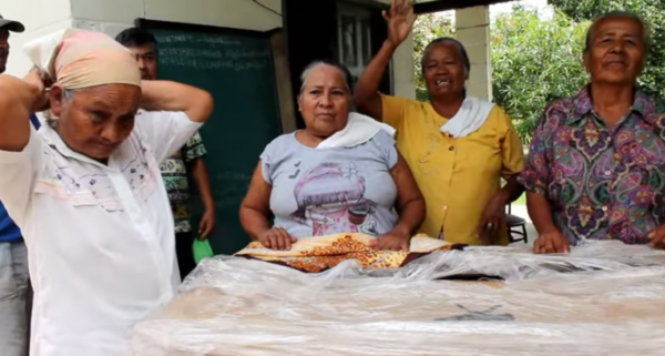 Paraguay, 6 de las 19 lenguas nativas en peligro, lo raro: vida de un dialecto depende de 4 mujeres | Paraguay en Noticias