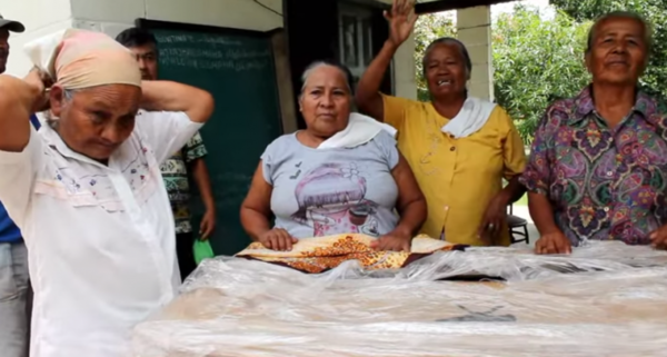 Paraguay, 6 de las 19 lenguas nativas en peligro, lo raro: vida de un dialecto depende de 4 mujeres | Paraguay en Noticias 