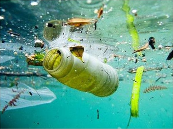 El plástico en el Atlántico Norte se multiplicó por diez a partir de 2000