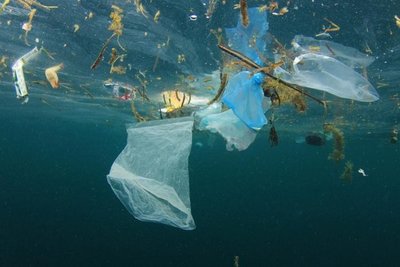 El plástico en el Atlántico Norte se multiplicó por diez - Ciencia - ABC Color