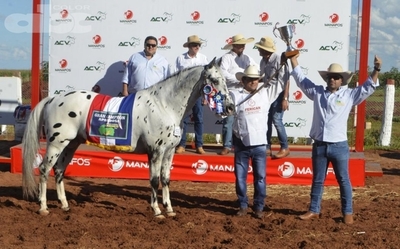Grandes campeones de la Expo Canindeyú 2019 - Edicion Impresa - ABC Color