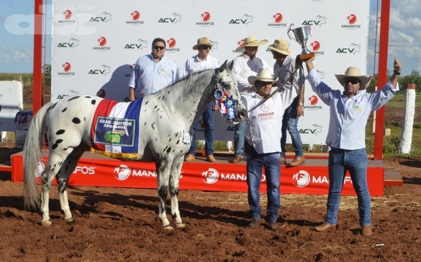 Grandes campeones de la Expo Canindeyú 2019 - Edicion Impresa - ABC Color