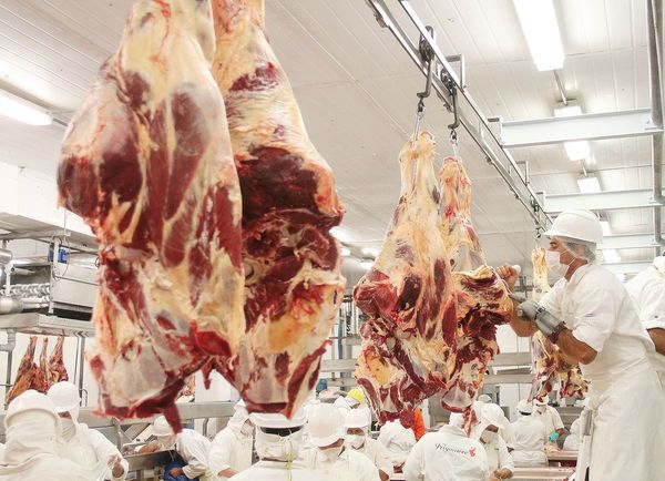 Debatirán creación del Instituto Paraguayo de la Carne
