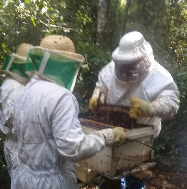 Fortalecen sector apícola en Canindeyú - ADN Paraguayo