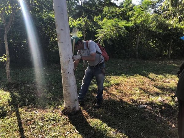 Intensifican preparativos en Cerro Ñemby - Nacionales - ABC Color