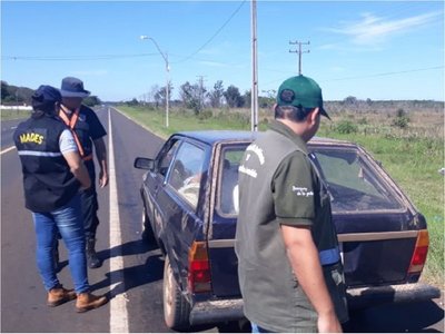 Mades decomisó animales silvestres faenados