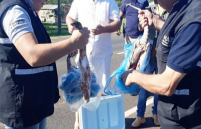 Decomisan animales silvestres faenados  - Radio 1000 AM