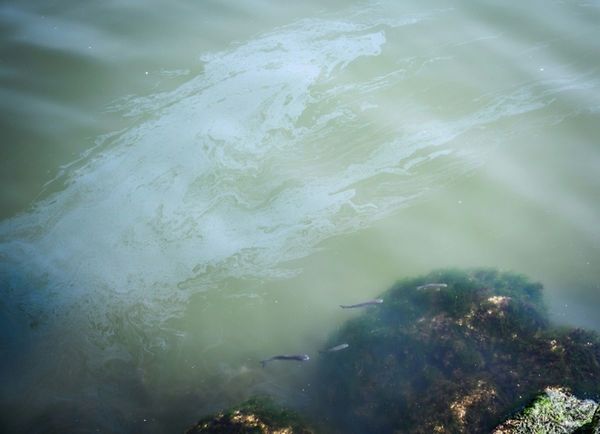 Mar Caspio, amenazado por la contaminación