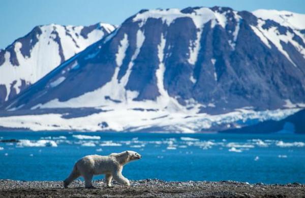 Canadá sufre consecuencias del calentamiento global dos veces mayor que el resto del mundo - C9N