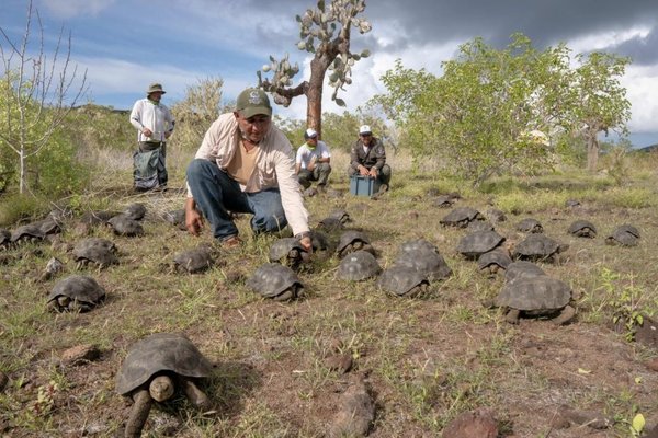 Estudio traza llegada de la guayaba a Galápagos | Paraguay en Noticias 