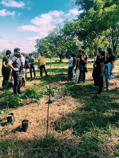 El lapacho socio de un club reforestará el equivalente a 11 canchas de fútbol » Ñanduti