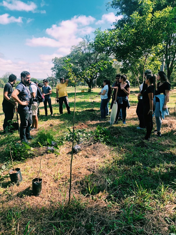 El lapacho socio de un club reforestará el equivalente a 11 canchas de fútbol » Ñanduti