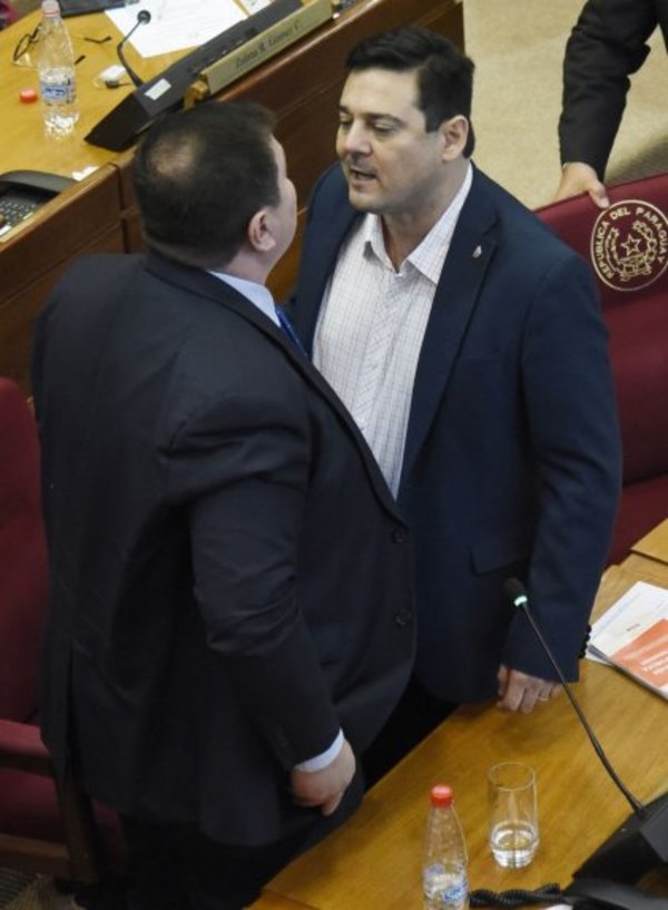 Senado será ingobernable si no respetan reglas, dicen - Edicion Impresa - ABC Color