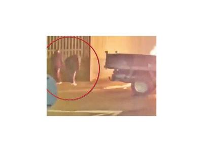 Policía norirlandesa alerta sobre un nuevo tipo de terrorista