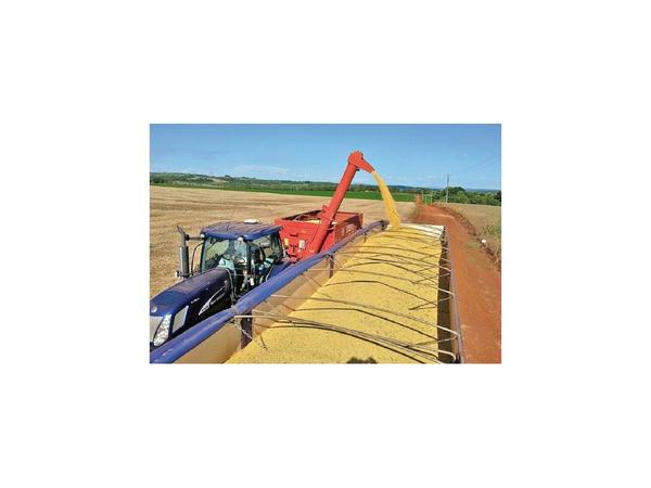 Exportaciones de soja a Rusia y Brasil recobran impulso