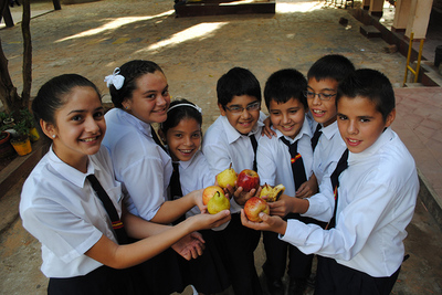 Recomiendan ingerir frutas y verduras antes de que las frituras - ADN Paraguayo