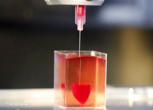 Imprimen primer corazón en 3D con tejido humano