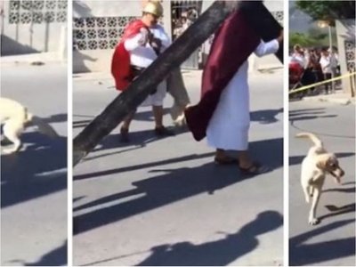 Perro defiende de los azotes a actor que interpretó a Jesús