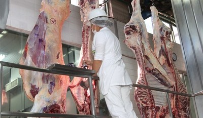 Auditores visitan Paraguay para proseguir con la exportación de productos cárnicos a Cuba | .::Agencia IP::.