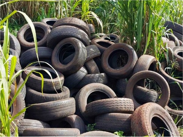 Una preocupación ambiental que convirtió neumáticos en combustible | Paraguay en Noticias
