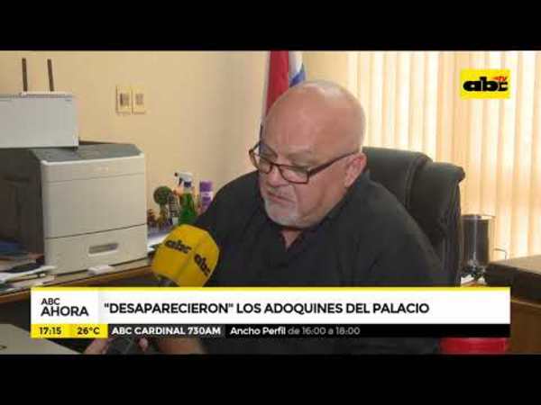 Desaparecieron los adoquines del palacio - Tv - ABC Color