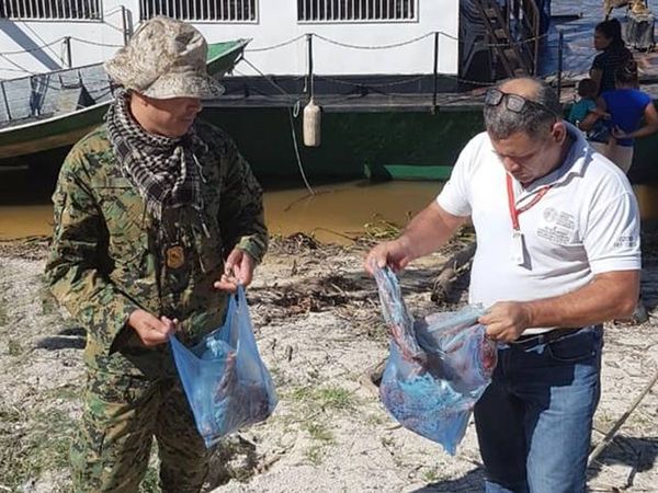 Fiscalizadores del MADES lograron identificar a unos 10 infractores en el Chaco