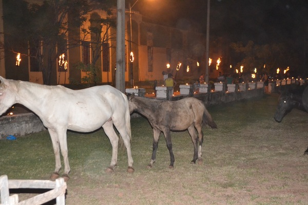 Animales sueltos hasta en el viacrucis