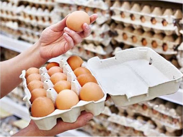 Investigadores enriquecen calidad de huevo para mejor nutrición
