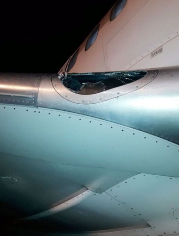 Aves impactaron contra un avión cuando aterrizaba - Edicion Impresa - ABC Color