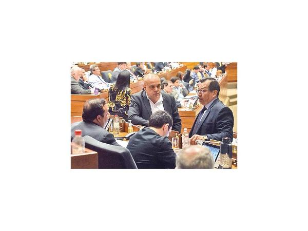 El blanqueo a 5  intendentes prosigue mañana en Diputados