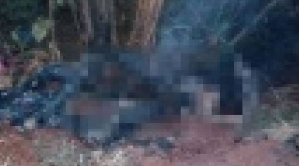 HOY / Hallan dos cuerpos incinerados en un sojal y no se descarta ajuste de cuentas