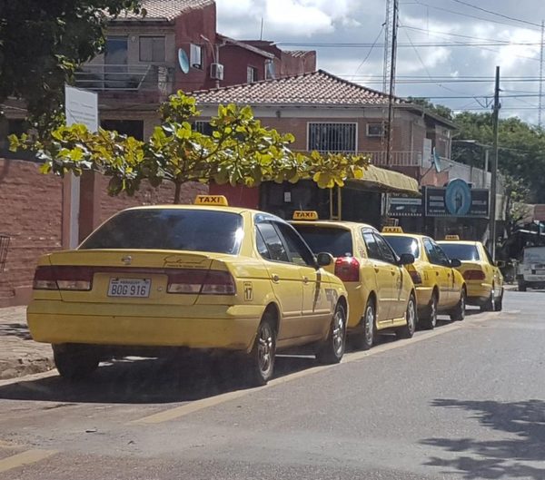 Taxistas plotearán techo de sus vehículos con los colores del Rayadito | San Lorenzo Py