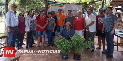 CNEL. BOGADO: CRECE LA DEMANDA DE SIEMBRA DE EUCALIPTOS EN PEQUEÑAS FINCAS.