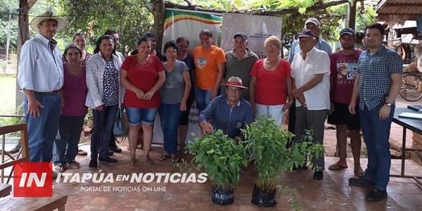 CNEL. BOGADO: CRECE LA DEMANDA DE SIEMBRA DE EUCALIPTOS EN PEQUEÑAS FINCAS.