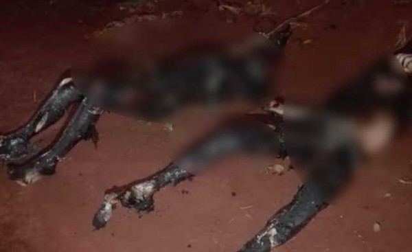 Hallan dos cuerpos calcinados y con sogas en el cuello