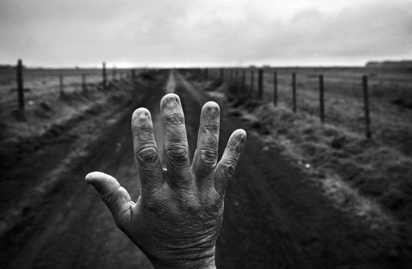 HOY / Presentan nueva edición del concurso fotográfico "El ojo salvaje"