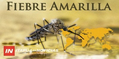 ALERTA POR POSIBLE INGRESO DE FIEBRE AMARILLA A PARAGUAY.