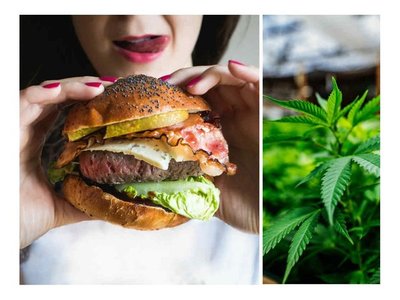 En EE.UU lanzaron una hamburguesa con infusión de marihuana