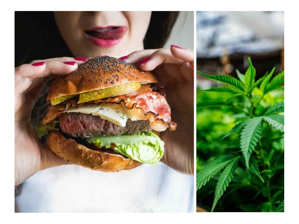 En EE.UU lanzaron una hamburguesa con infusión de marihuana