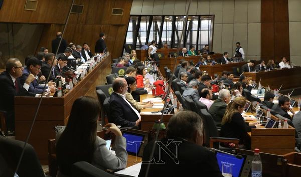 Aseguran que mozo con sueldo de Gs. 12 millones no pertenece a Diputados | Paraguay en Noticias