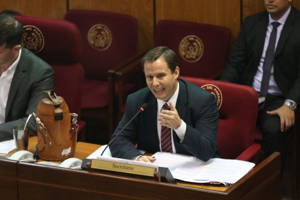 Ministro propondrá al Congreso ley “antichicana”