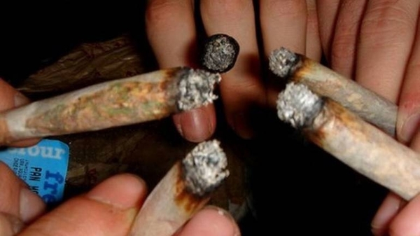 HOY / Doce estudiantes brasileños (9 hombres, 3 mujeres) son expulsados por fumar 'macoña'